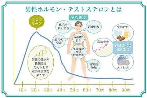 恋愛 テストステロン|告白や別れ話のとき分泌されるのは？ 恋にまつわる8つのホルモ。